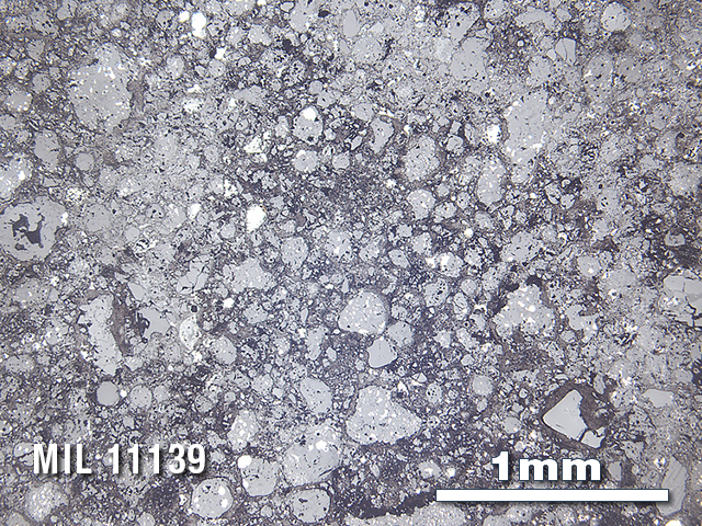 Thin Section Photo of Sample MIL 11139 in Reflected Light with 2.5X Magnification
