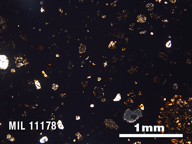 Thin Section Photo of Sample MIL 11178 in Plane-Polarized Light with 2.5X Magnification