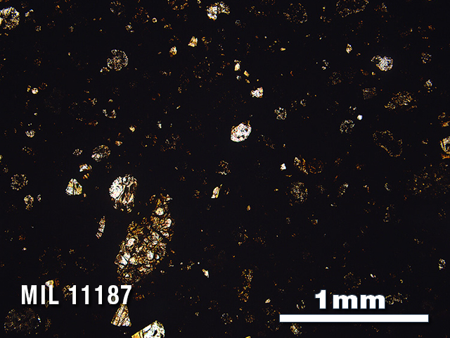 Thin Section Photo of Sample MIL 11187 in Plane-Polarized Light with 2.5X Magnification