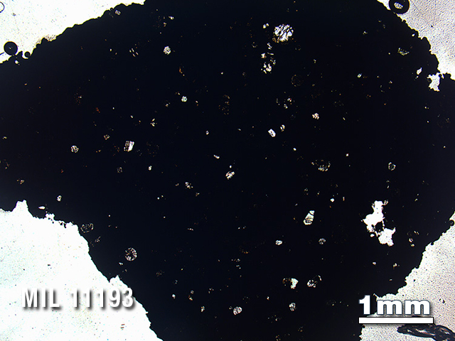 Thin Section Photo of Sample MIL 11193 in Plane-Polarized Light with 1.25X Magnification