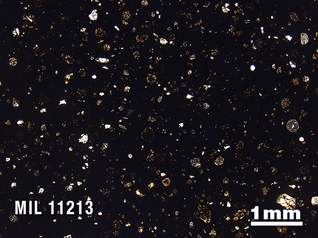 Thin Section Photo of Sample MIL 11213 in Plane-Polarized Light with 1.25X Magnification