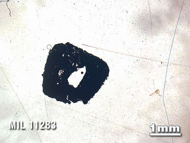 Thin Section Photo of Sample MIL 11283 in Plane-Polarized Light with 1.25X Magnification
