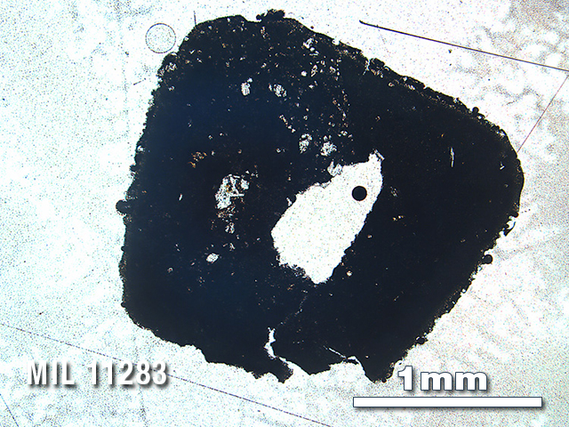 Thin Section Photo of Sample MIL 11283 in Plane-Polarized Light with 2.5X Magnification