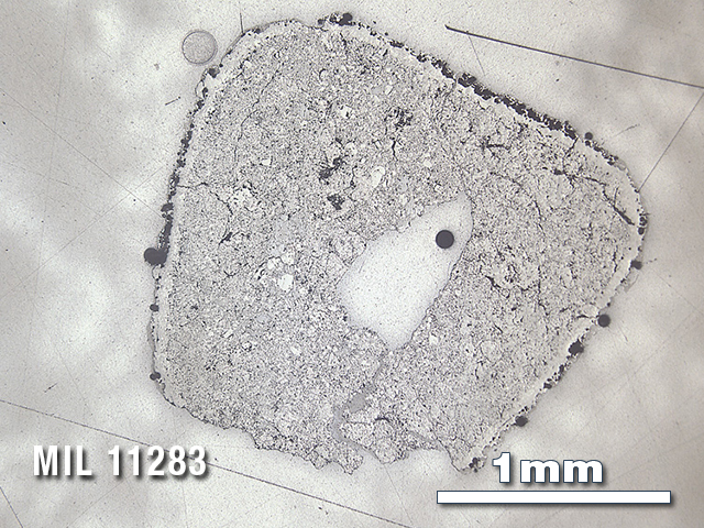 Thin Section Photo of Sample MIL 11283 in Reflected Light with 2.5X Magnification