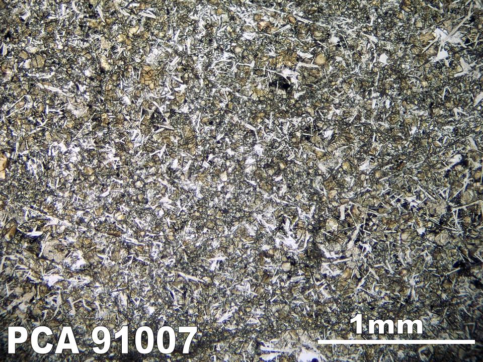 Thin Section Photograph of Sample PCA 91007 in Plane-Polarized Light