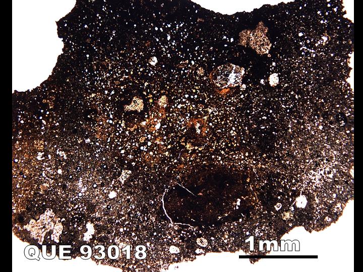 Thin Section Photo of Sample QUE 93018 in Plane-Polarized Light