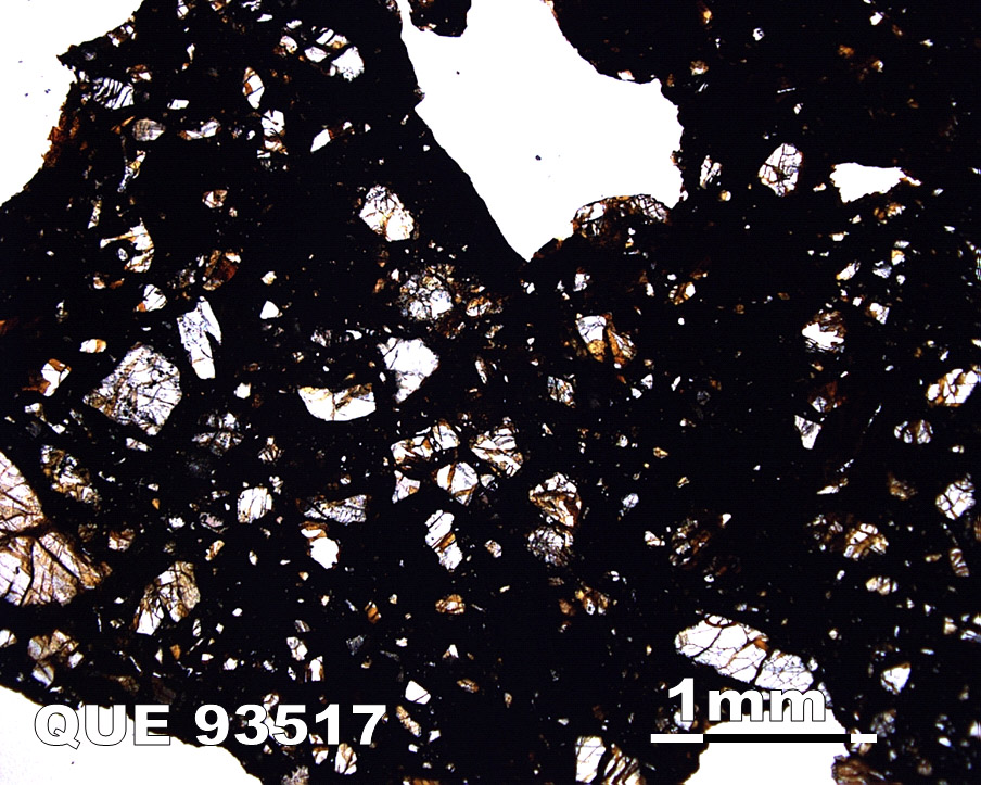 Thin Section Photograph of Sample QUE 93517 in Plane-Polarized Light