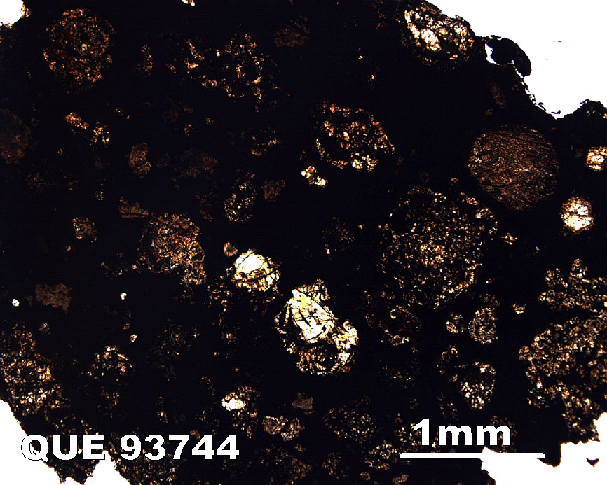 Thin Section Photograph of Sample QUE 93744 in Plane-Polarized Light
