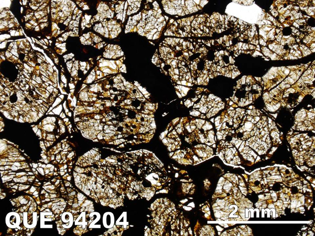 Thin Section Photo of Sample QUE 94204 in Plane-Polarized Light with 1.25x Magnification
