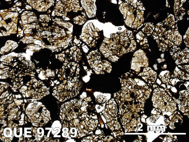 Thin Section Photo of Sample QUE 97289 in Plane-Polarized Light with 1.25x Magnification