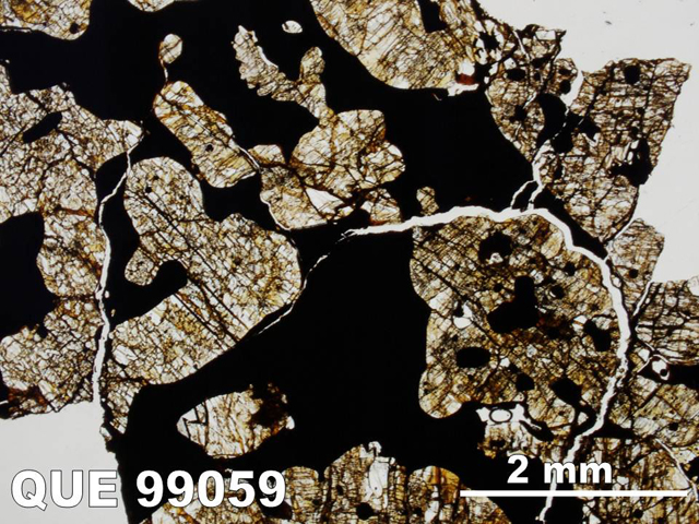 Thin Section Photo of Sample QUE 99059 in Plane-Polarized Light with 1.25x Magnification