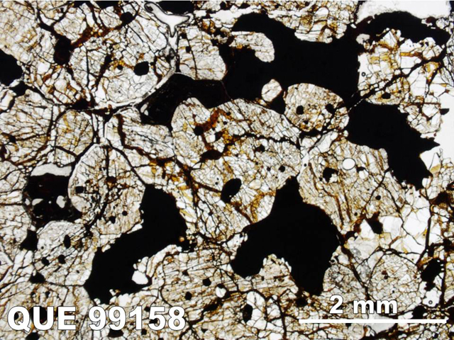 Thin Section Photo of Sample QUE 99158 in Plane-Polarized Light with 1.25x Magnification