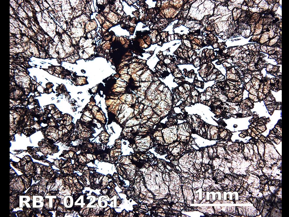 Thin Section Photograph of Sample RBT 04261 in Plane-Polarized Light