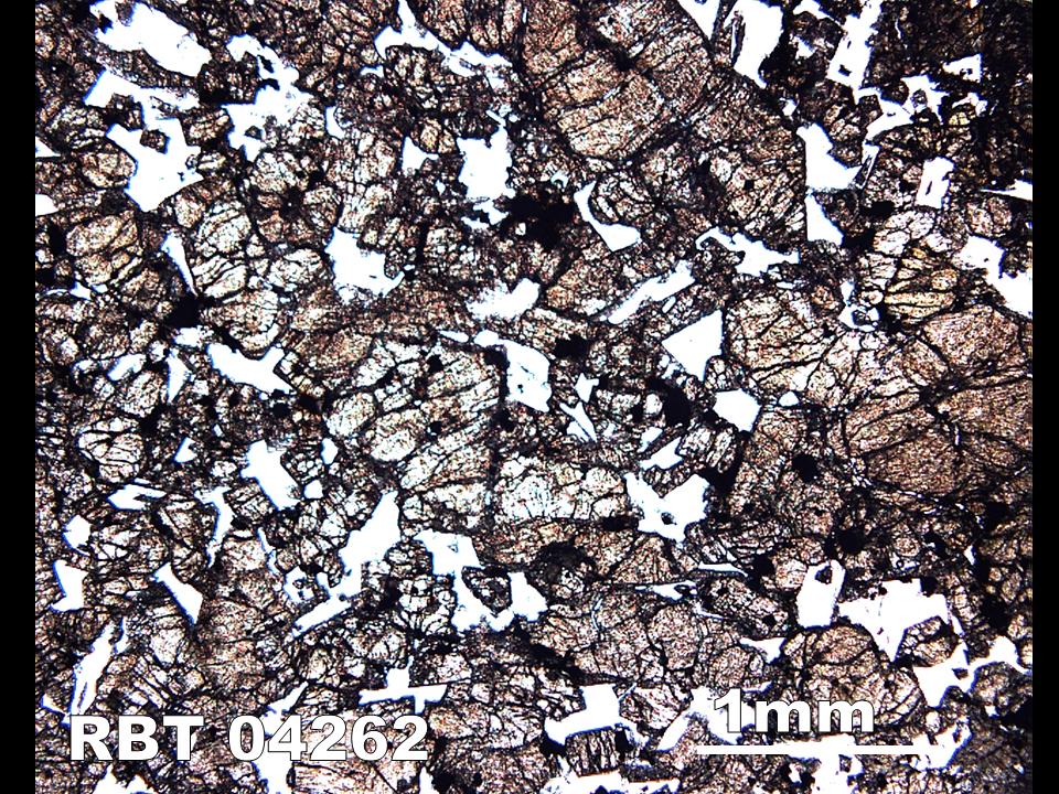 Thin Section Photograph of Sample RBT 04262 in Plane-Polarized Light