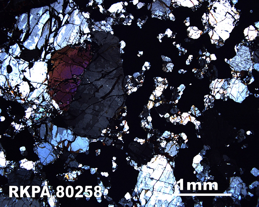 Thin Section Photograph of Sample RKPA80258 in Cross-Polarized Light