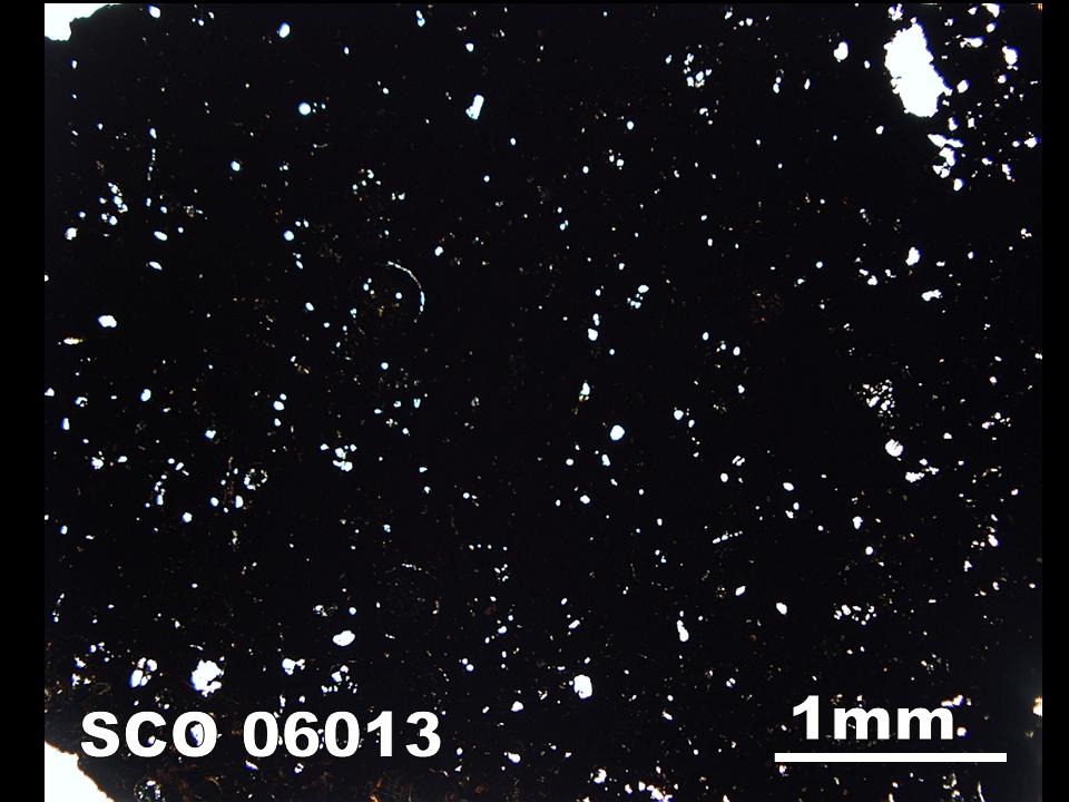 Thin Section Photograph of Sample SCO 06013 in Plane-Polarized Light