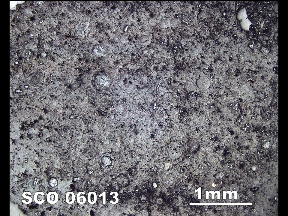 Thin Section Photograph of Sample SCO 06013 in Reflected Light