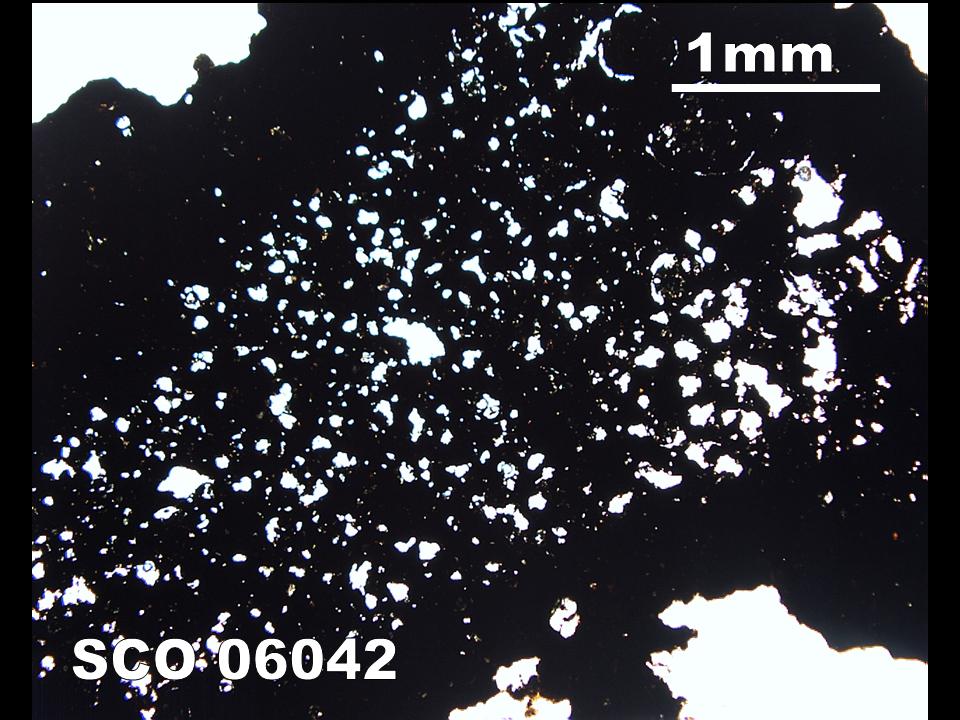 Thin Section Photograph of Sample SCO 06042 in Plane-Polarized Light