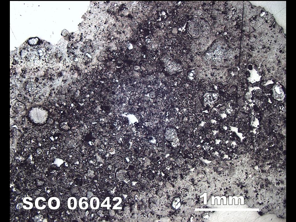 Thin Section Photograph of Sample SCO 06042 in Reflected Light