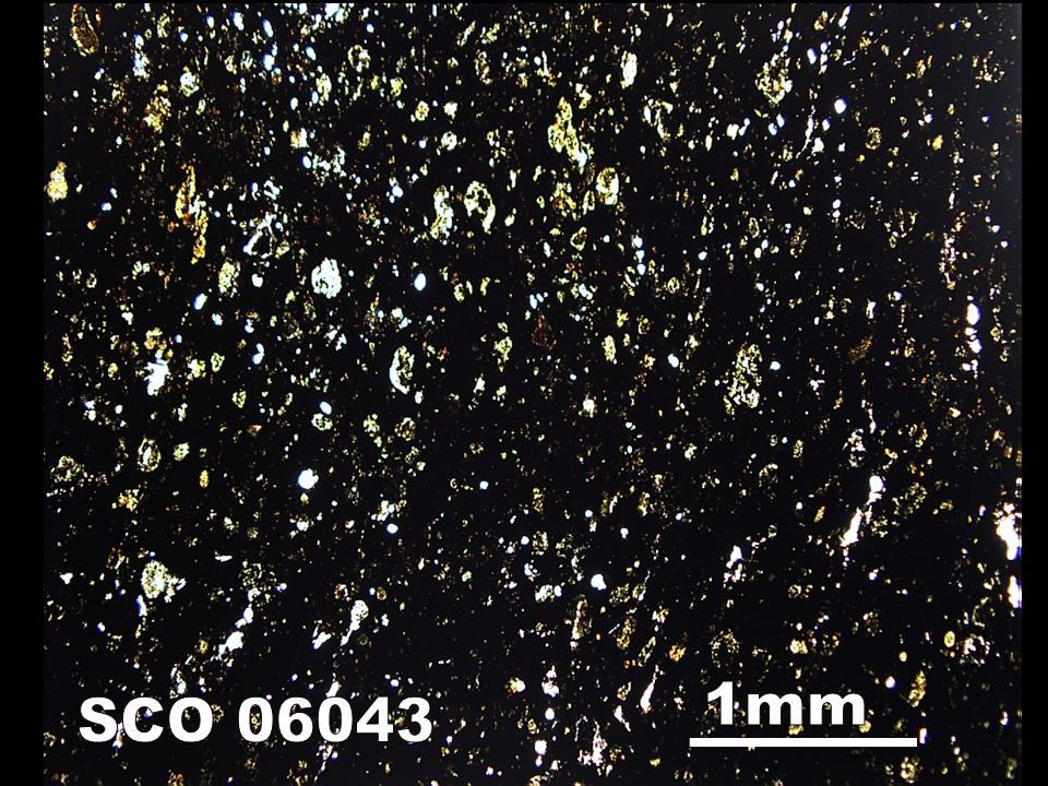 Thin Section Photograph of Sample SCO 06043 in Plane-Polarized Light