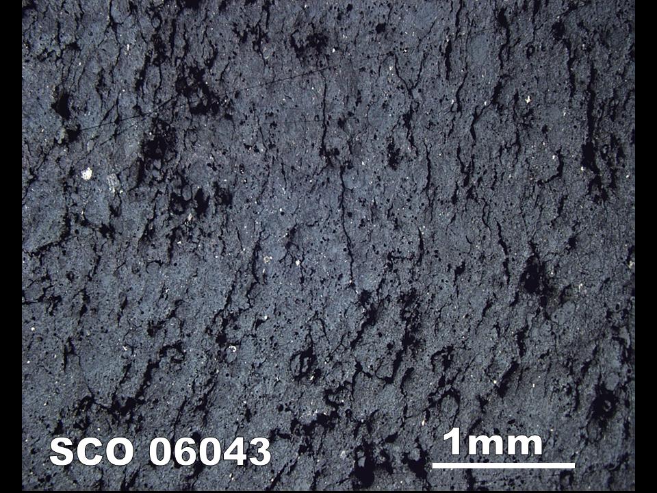 Thin Section Photograph of Sample SCO 06043 in Reflected Light