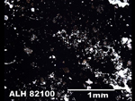 Thin Section Photo of Sample ALH 82100 in Plane-Polarized Light