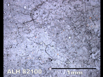 Thin Section Photo of Sample ALH 82100 in Reflected Light