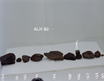 Lab Photo of Sample ALH 82131 (Photo Number S84-32880)