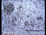 Thin Section Photo of Sample ALH 82131 in Reflected Light