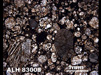 Thin Section Photograph of Sample ALH 83008 in Plane-Polarized Light