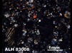 Thin Section Photograph of Sample ALH 83008 in Cross-Polarized Light