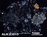 Thin Section Photograph of Sample ALH 83015 in Cross-Polarized Light