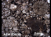 Thin Section Photograph of Sample ALH 83038 in Plane-Polarized Light