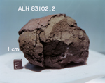 B2. Lab Photo of Sample ALH 83102 (Photo Number s84-36004)