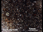 Thin Section Photo of Sample ALH 83106 in Plane-Polarized Light