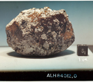 Lab Photograph of Sample ALH 84012