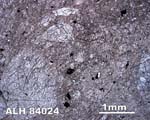 Thin Section Photograph of Sample ALH 84024 in Plane-Polarized Light