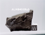 Lab Photo of Sample ALH 84029 (Photo Number s85-36745)