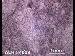 Thin Section Photo of Sample ALH 84029 in Reflected Light