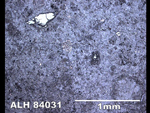 Thin Section Photo of Sample ALH 84031 in Reflected Light