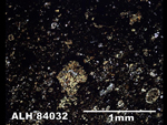 Thin Section Photo of Sample ALH 84032 in Plane-Polarized Light