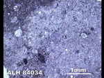 Thin Section Photo of Sample ALH 84034 in Reflected Light