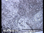 Thin Section Photo of Sample ALH 84035 in Reflected Light