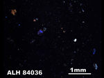 Thin Section Photo of Sample ALH 84036 in Cross-Polarized Light