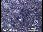 Thin Section Photo of Sample ALH 84039 in Reflected Light
