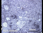 Thin Section Photo of Sample ALH 84040 in Reflected Light