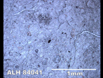 Thin Section Photo of Sample ALH 84041 in Reflected Light