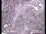 Thin Section Photo of Sample ALH 84043 in Reflected Light