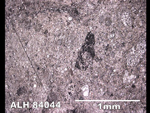 Thin Section Photo of Sample ALH 84044 in Reflected Light