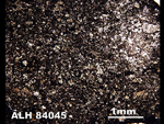 Thin Section Photo of Sample ALH 84045 in Plane-Polarized Light